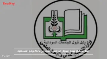 رابط استخراج نتيجة القبول الجامعي السوداني 2024 برقم الاستمارة